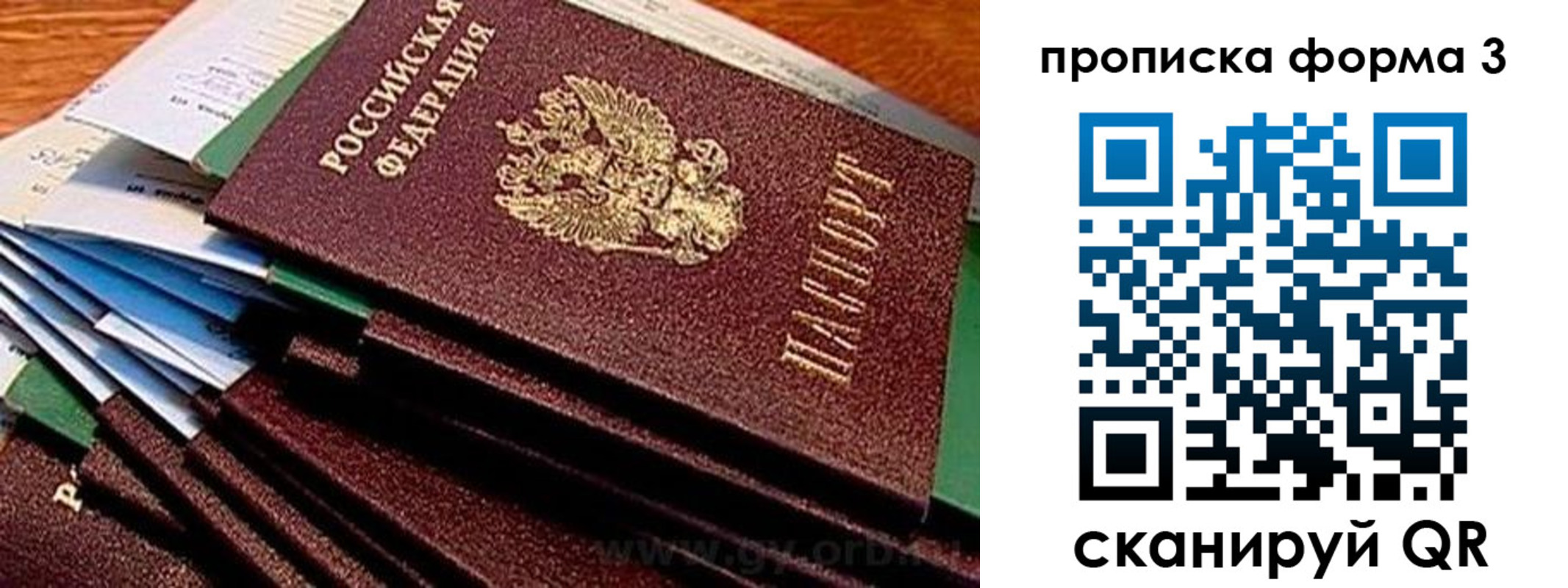 прописка иностранных граждан в Ярославле